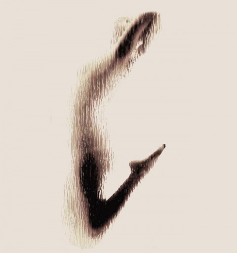 naked-silhouette-alphabet26
