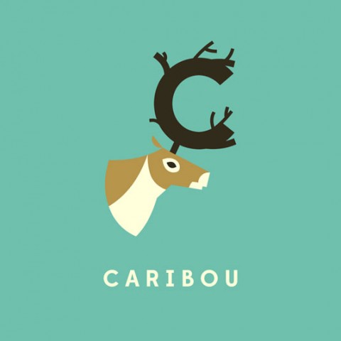caribou