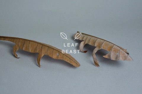 leaf beast mis gafas de pasta02