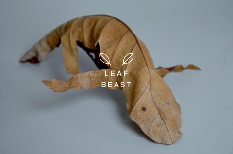 leaf beast mis gafas de pasta06