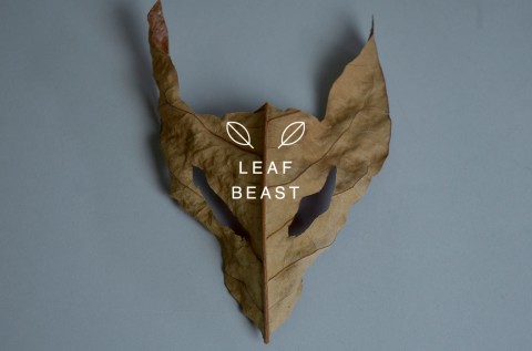 leaf beast mis gafas de pasta07