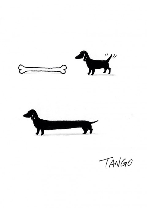 tango2010 mis gafas de pasta11