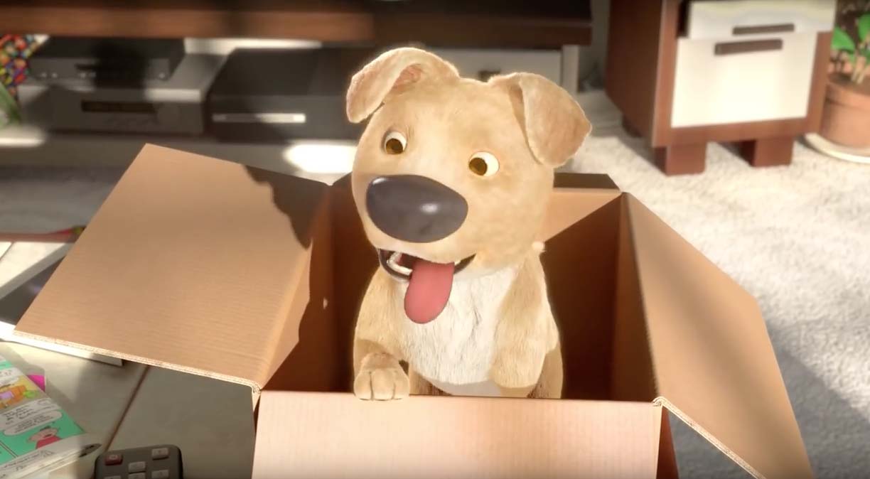 un cachorro sale de una caja en the present