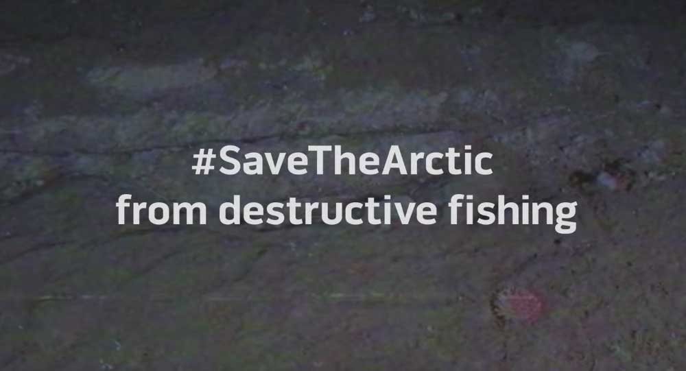 greenpeace. save the artic